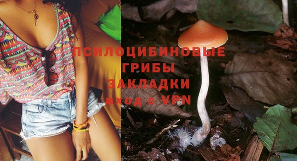 мет Арсеньев