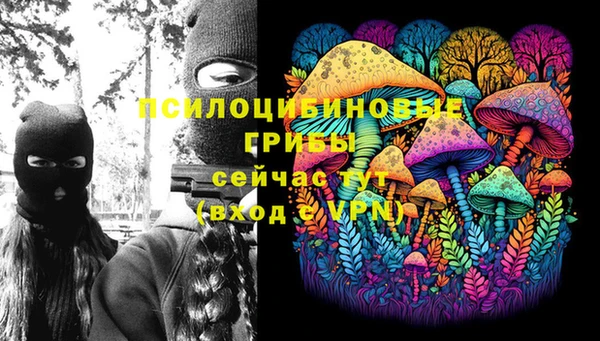 Альфа ПВП Аркадак