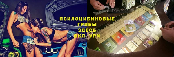 Альфа ПВП Аркадак