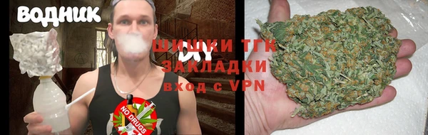 Альфа ПВП Аркадак
